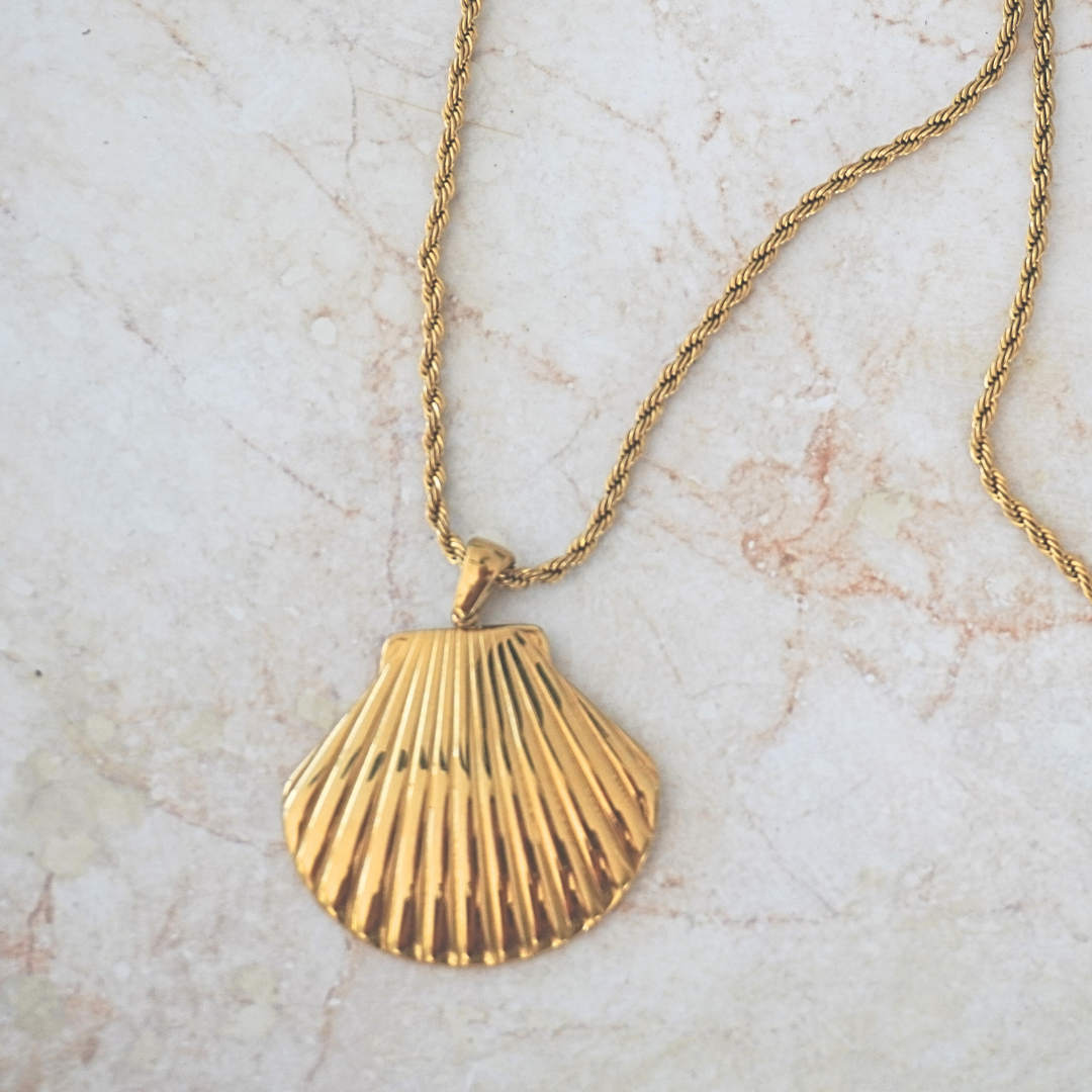 Venus Gold Clamshell Necklace