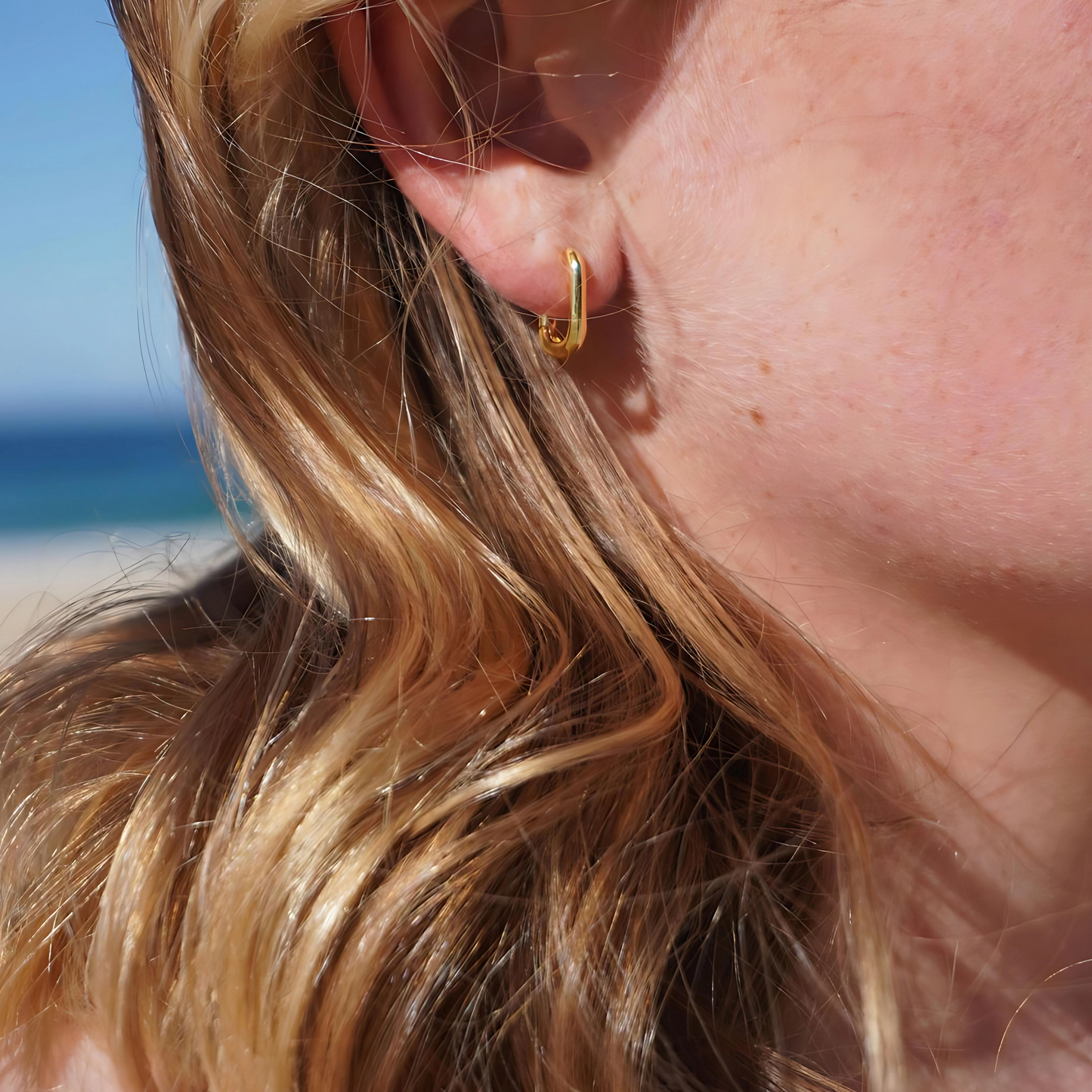 Koa Gold Oval Hoops