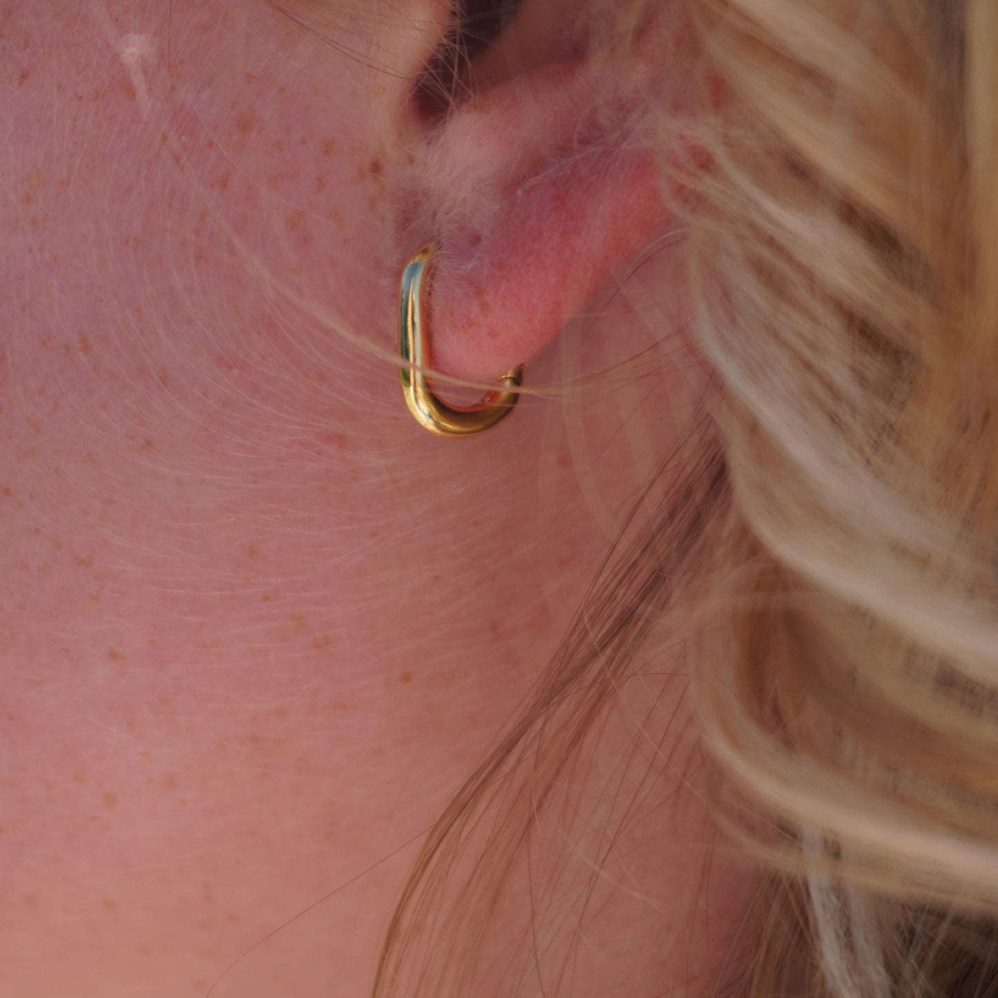 Koa Gold Oval Hoops