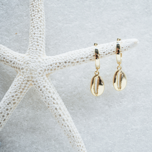 Gold Cowrie Shell Earrings