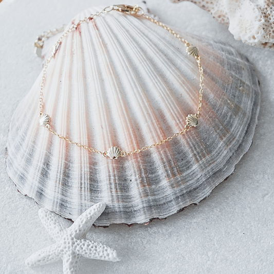 Tia Clamshell Bracelet