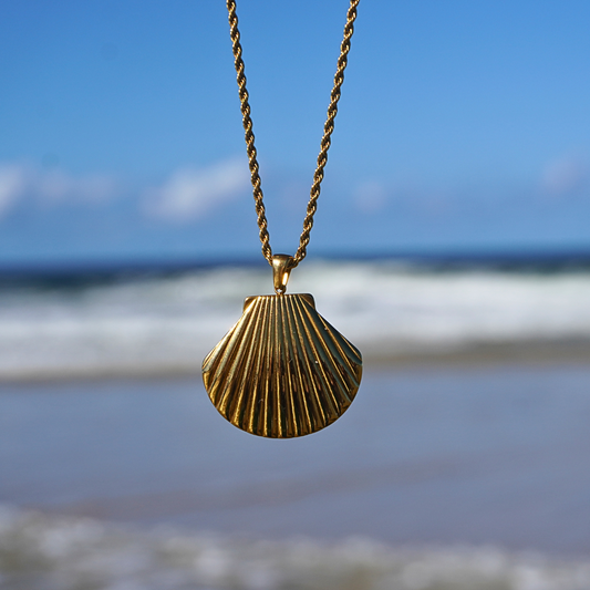 Venus Gold Clamshell Necklace