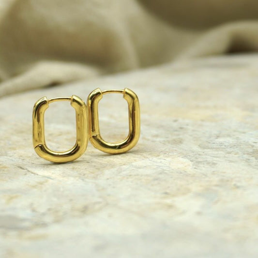 Koa Gold Oval Hoops