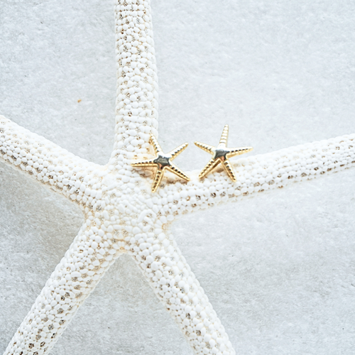 Sea Star Studs