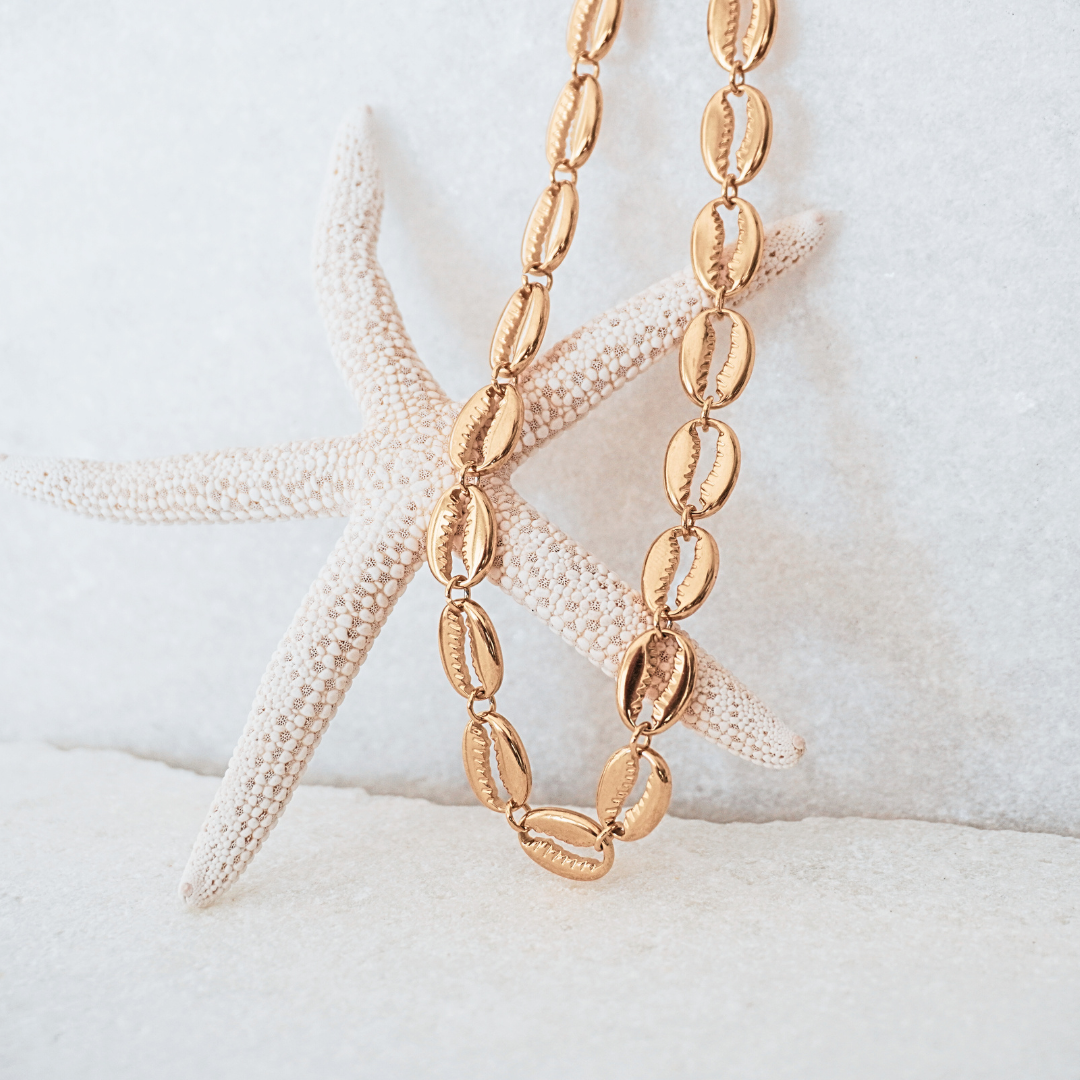 Seychelles Gold Cowrie Choker