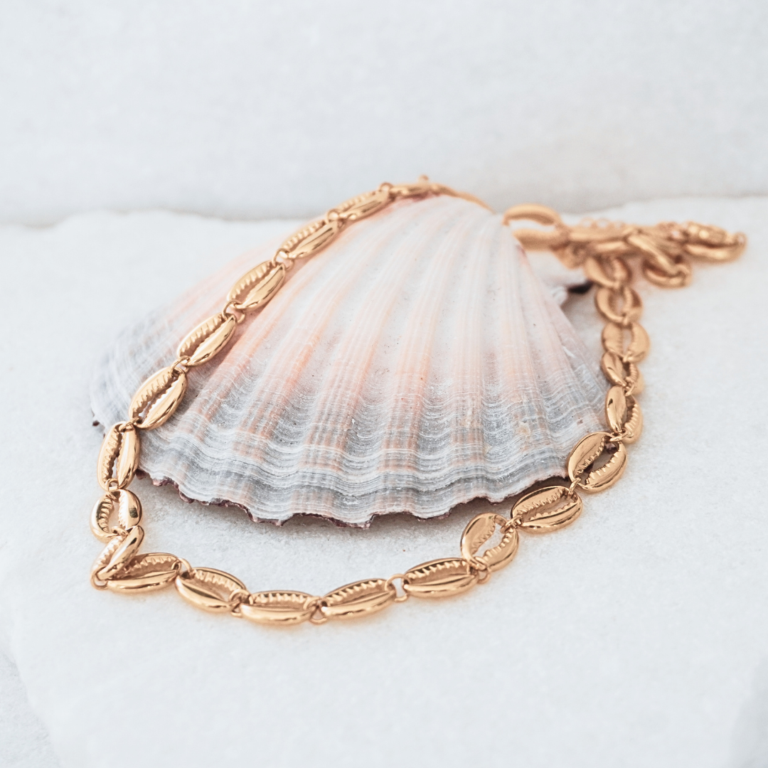 Seychelles Gold Cowrie Choker