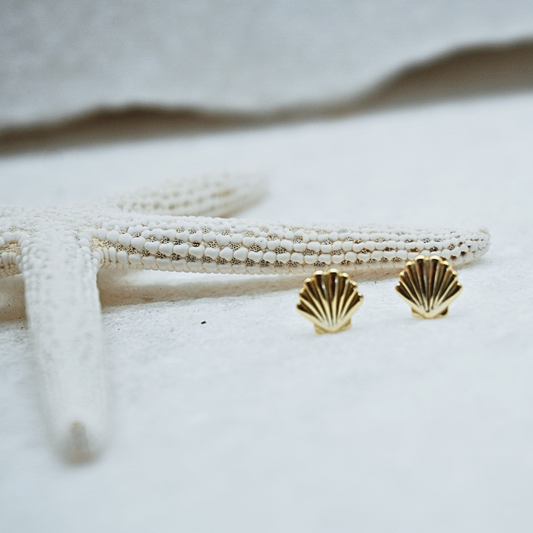 Gold Shell Stud Earrings flat lay waterproof Kailumea