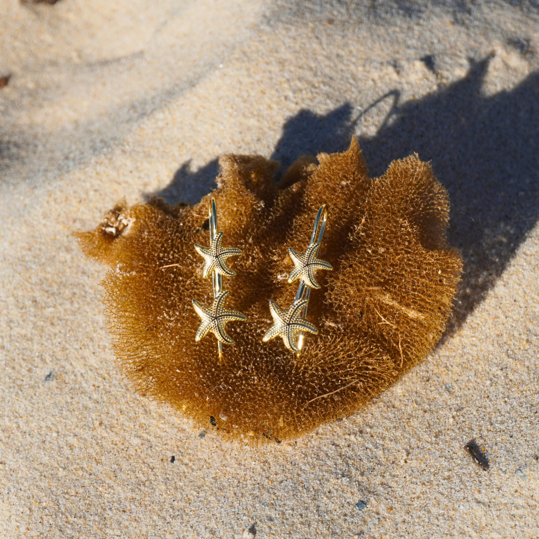 Starla Starfish Gold Thread Earrings waterproof Kailumea flat lay