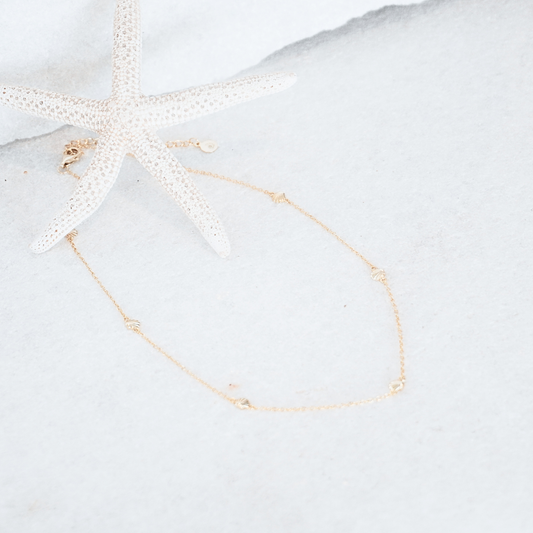 Tia Clamshell Necklace