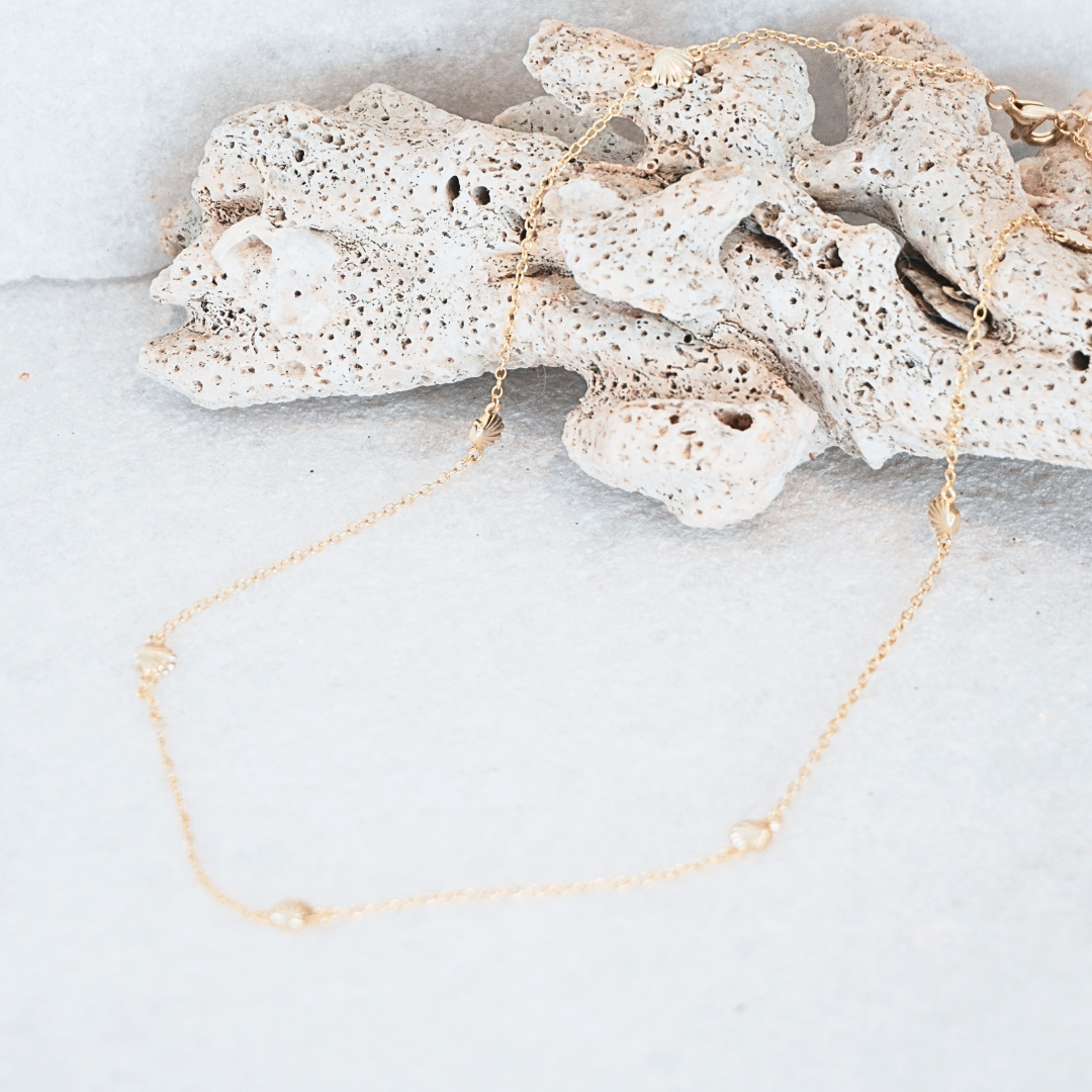 Tia Clamshell Necklace